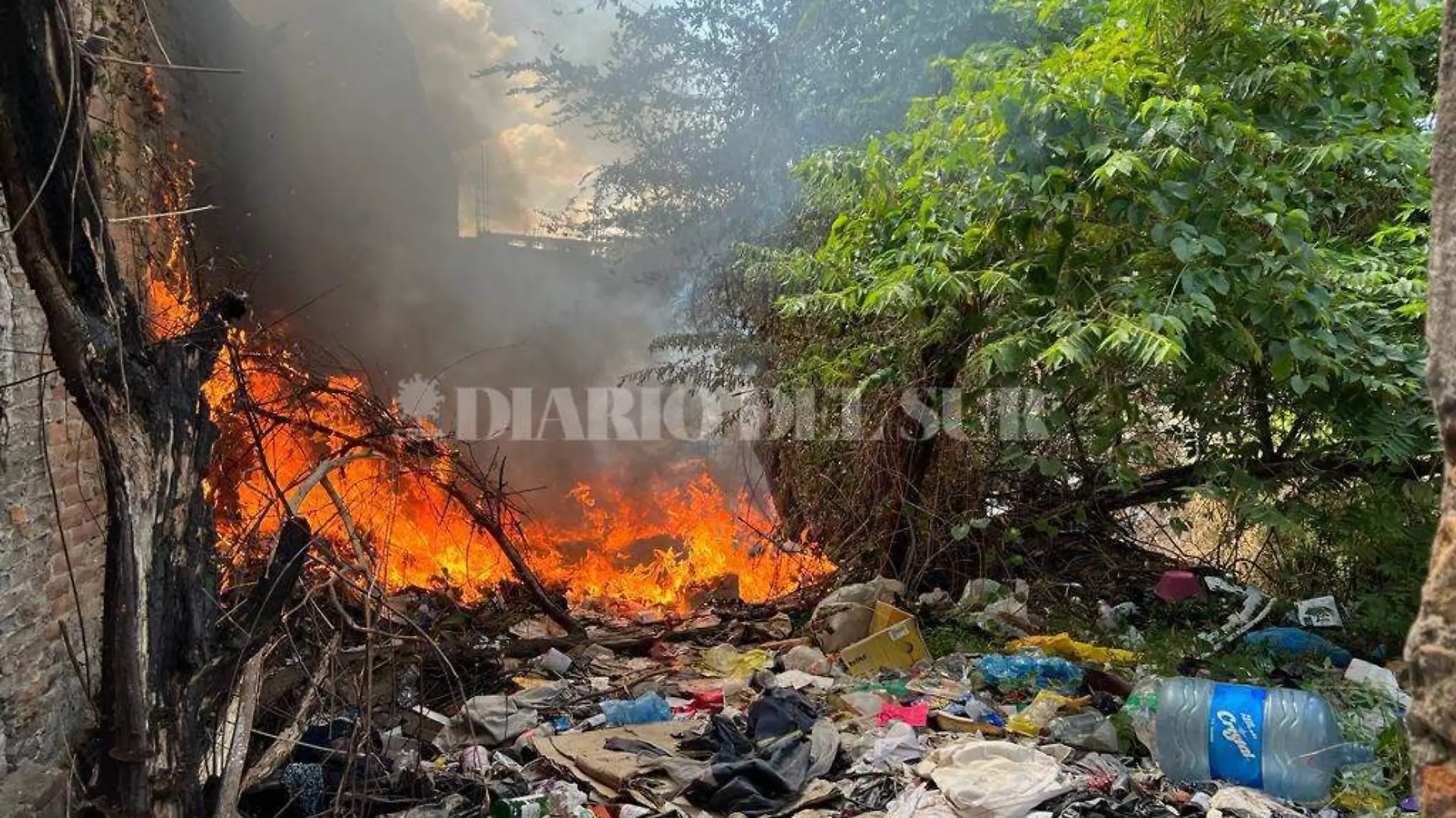 incendio de lote baldio